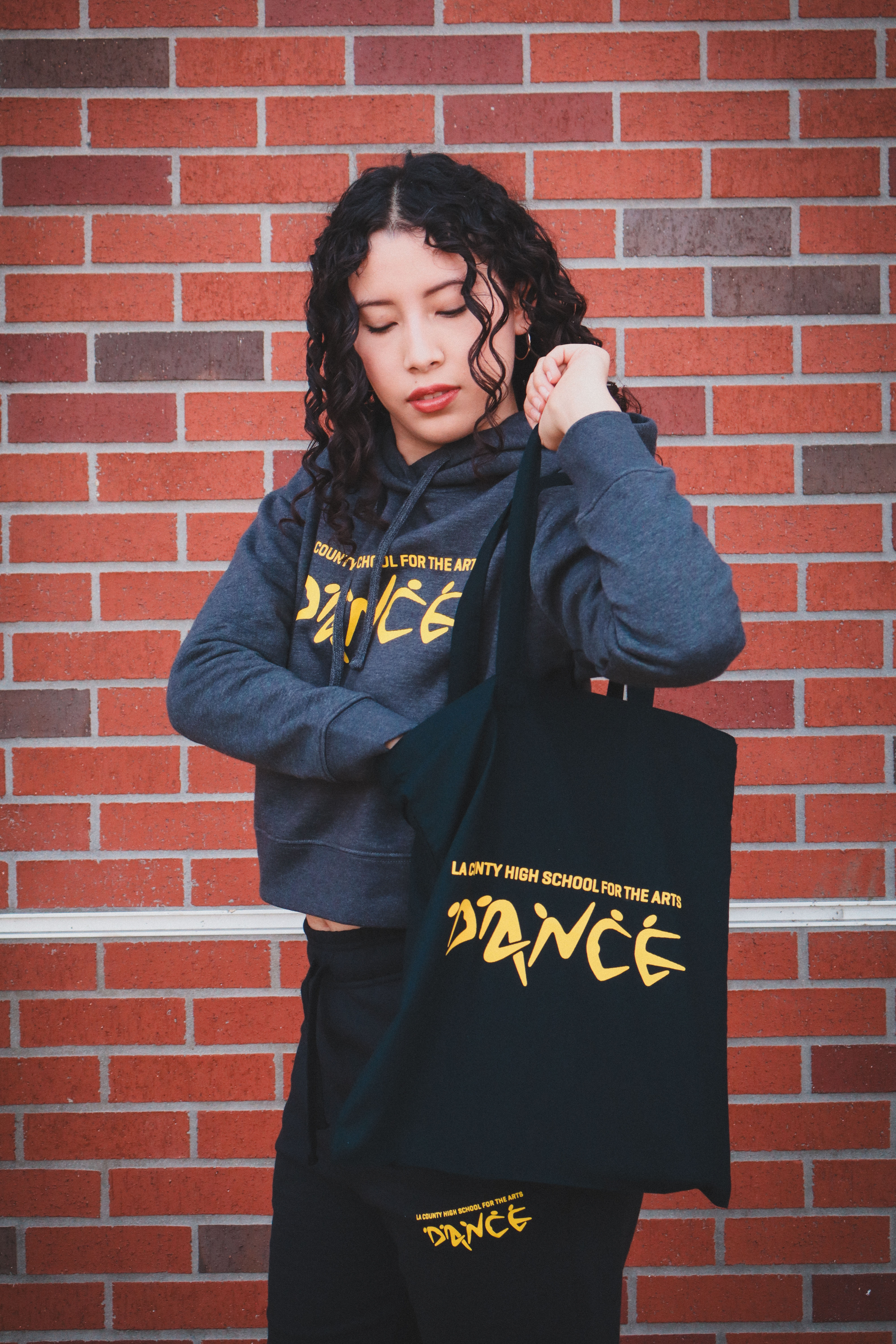 Bolso de baile LACHSA