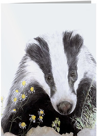 badger card open.jpg