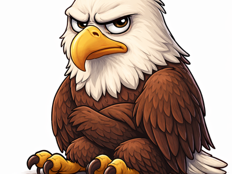 The 2025 Philadelphia Eagles; what went wrong?