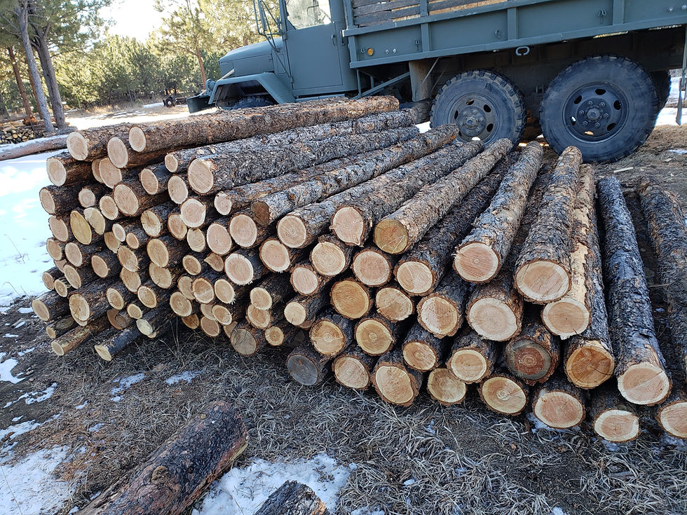 Douglas Fir Fence Posts