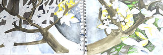markup_1000012734.JPG