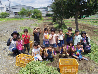 ブログ Yamamae Home