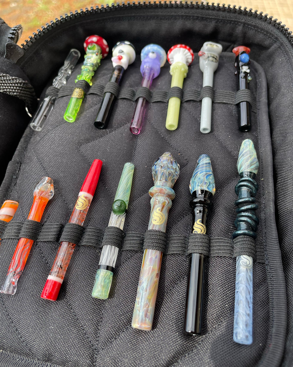Miniatura: Cases Amanita