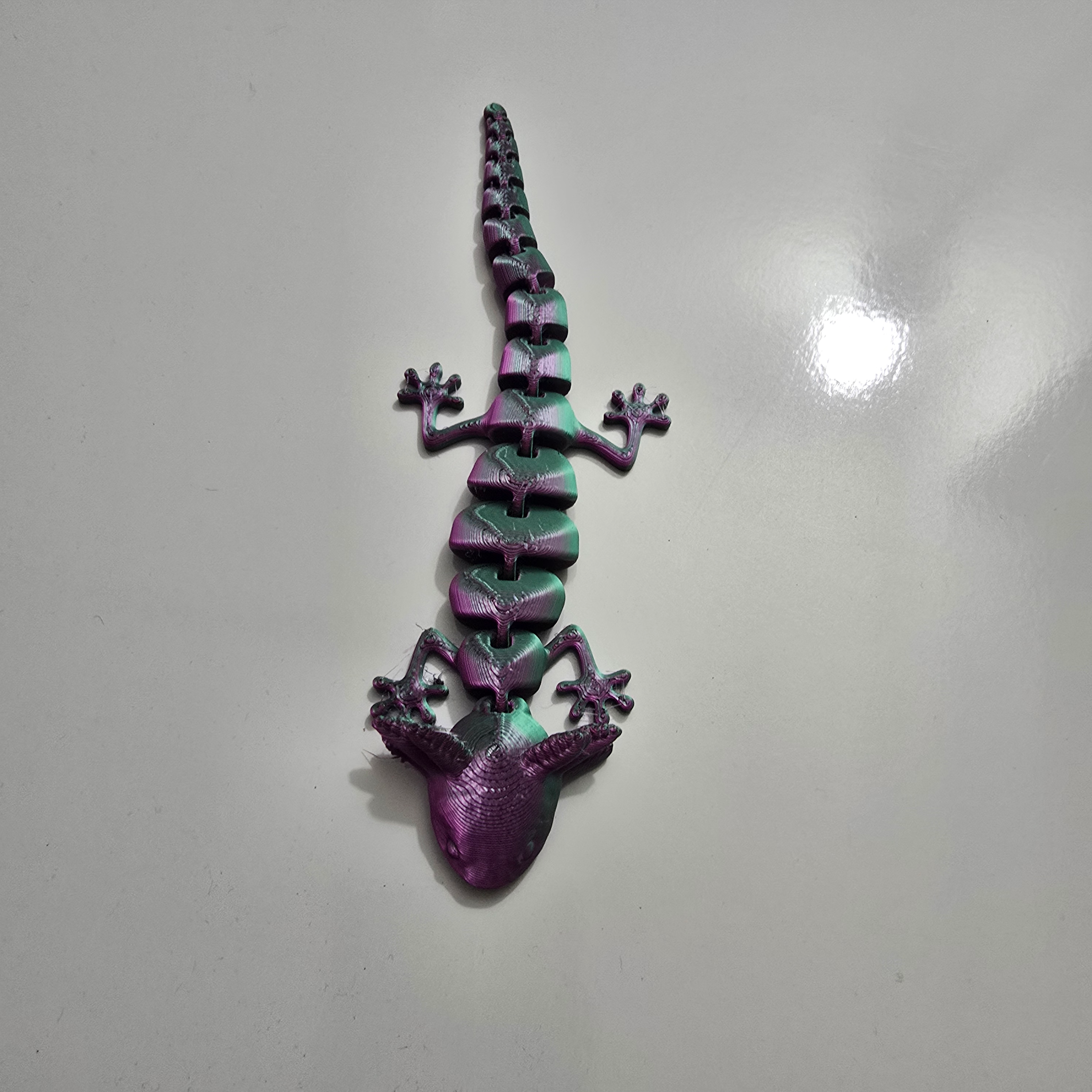 Axolitle