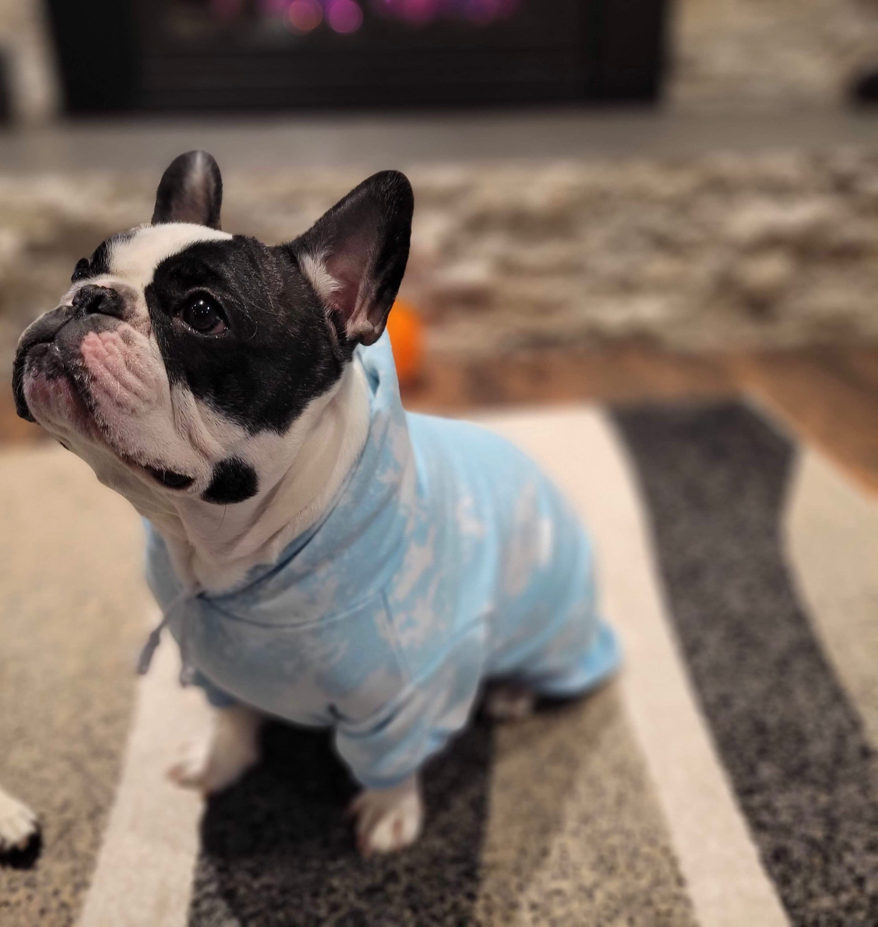 LIGHT BLUE REVERSE TIE DYE FOR THE DOGS