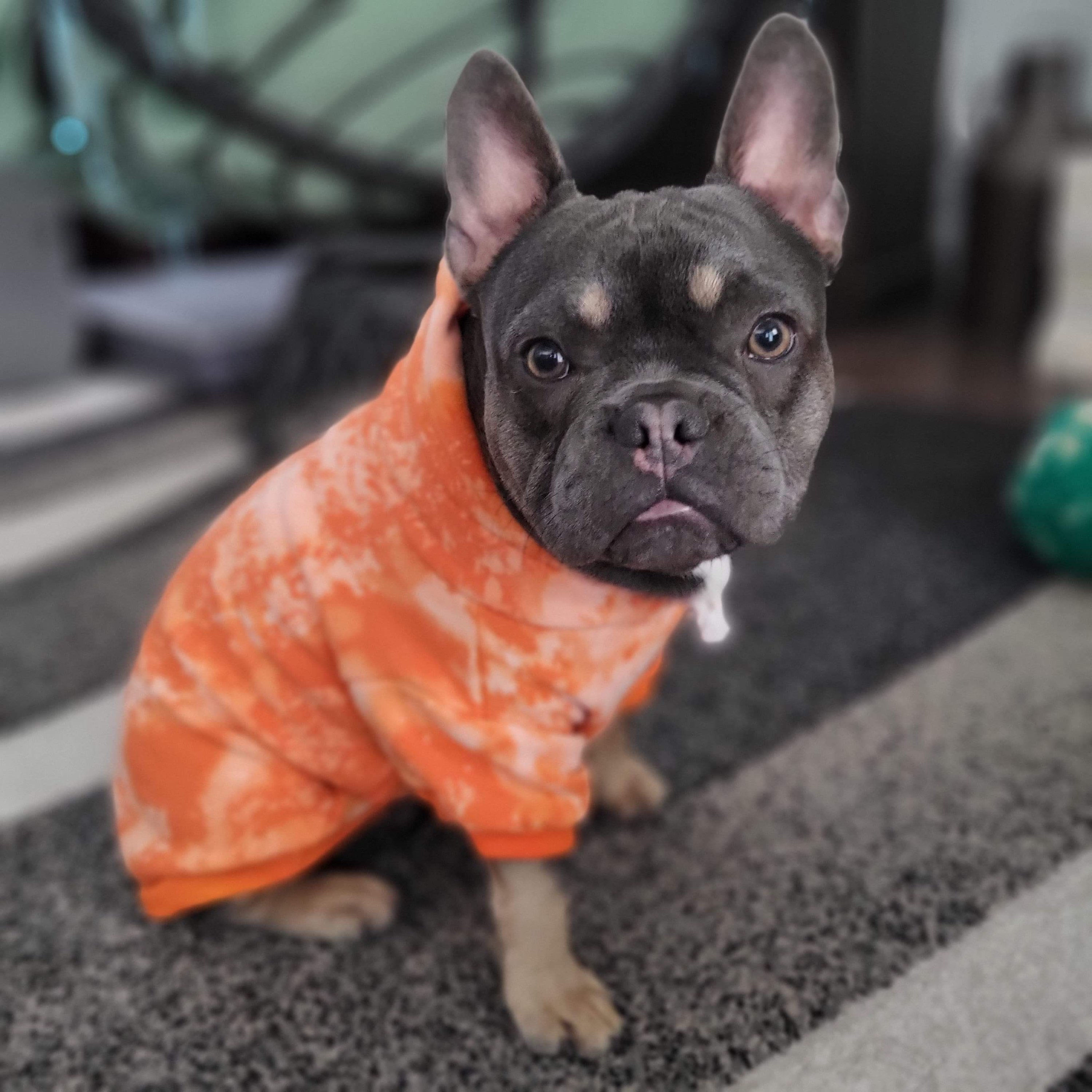 ORANGE REVERSE TIE DYE FOR THE DOGS