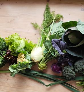 Vegetables.PNG
