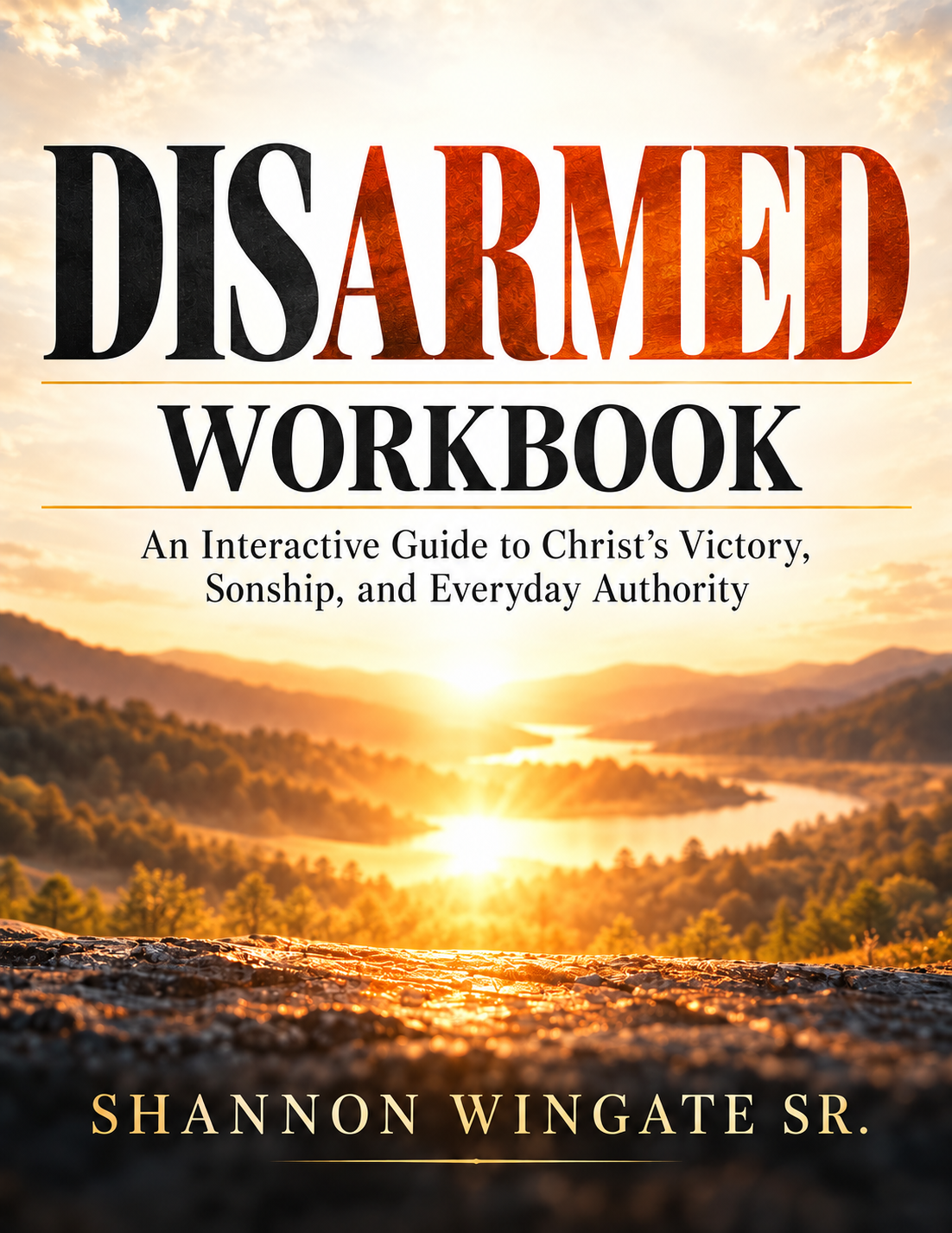 DISARMED Workbook cover