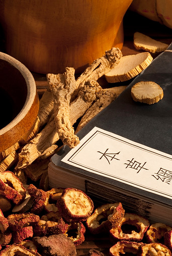 Traditional Chinese Medicine