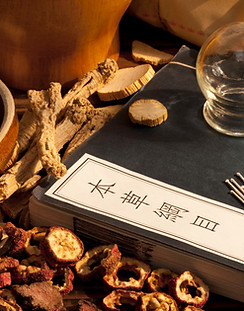 Traditional Chinese Medicine