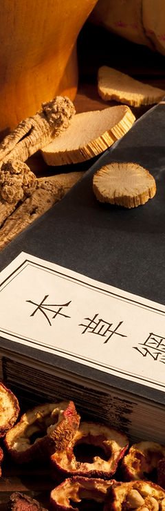 Traditional Chinese Medicine