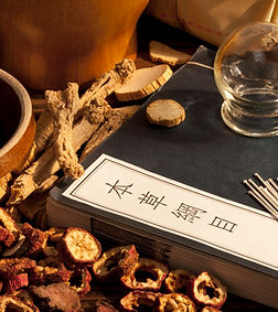 Traditional Chinese Medicine