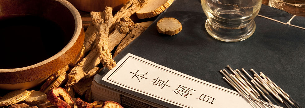 Akupunktur Traditionelle Chinesische Kräutermedizin