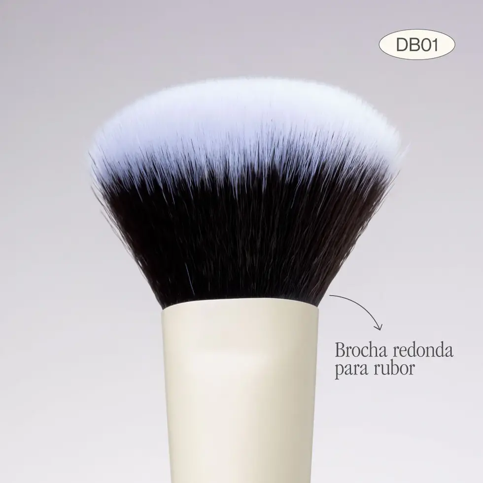 Vista de frontal de brocha de maquillaje duo rubor y polvo atenea