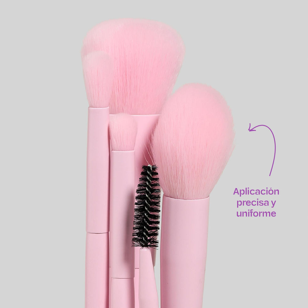 descripcion kit de brochas de maquillaje sandia de lula beauty