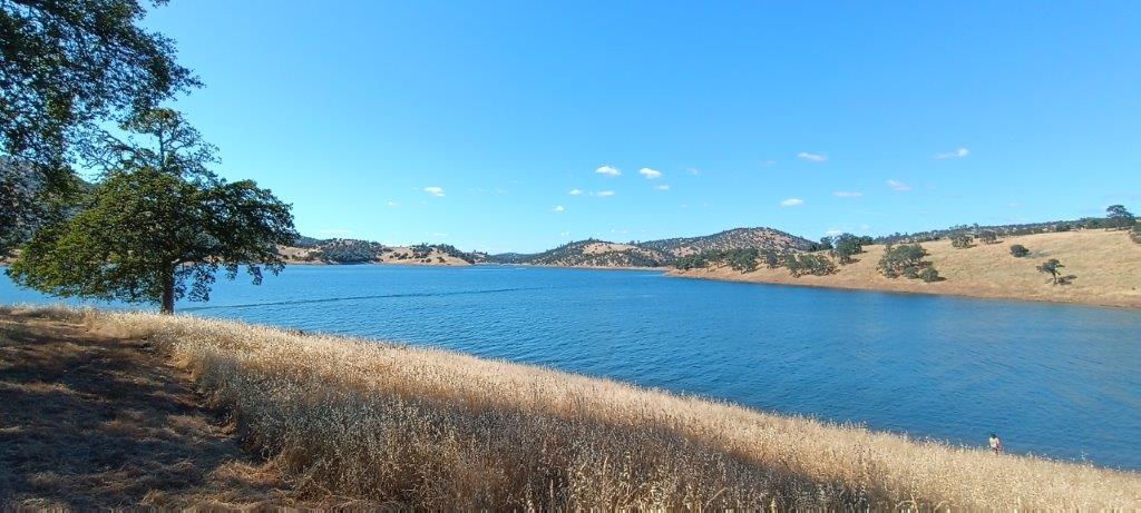 New Melones Lake 2