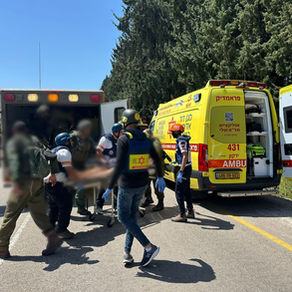 Un'emergenza senza precedenti 