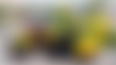 Magen David Adom nel 2025: un anno di attività in numeri