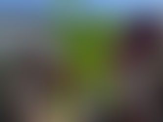 Luftige Laubengänge für den Markt