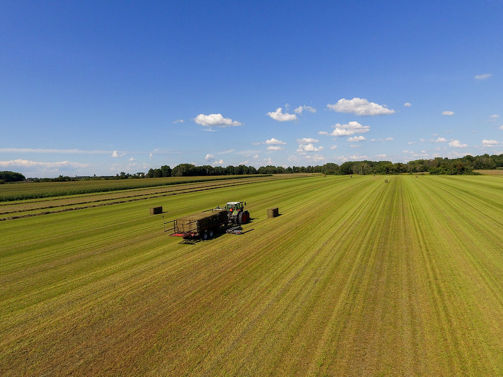 DJI_0112.jpg