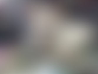 A white cat lounging on an auto parts counter