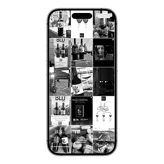 Elementos de esta semamnaelegidos (4)_edited.jpg