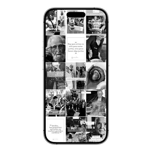 Elementos de esta semamnaelegidos (3)_edited.jpg