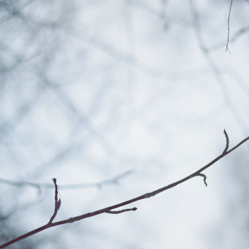 63f435_dd1fd1a3918a4e3c9f8f8810aeee1ef5~mv2_d_4000_6000_s_4_2.jpeg