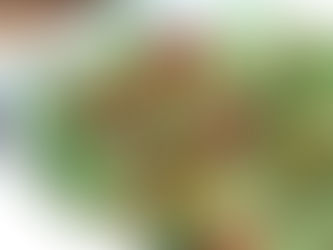 	RADISH MICROGREEN SALAD