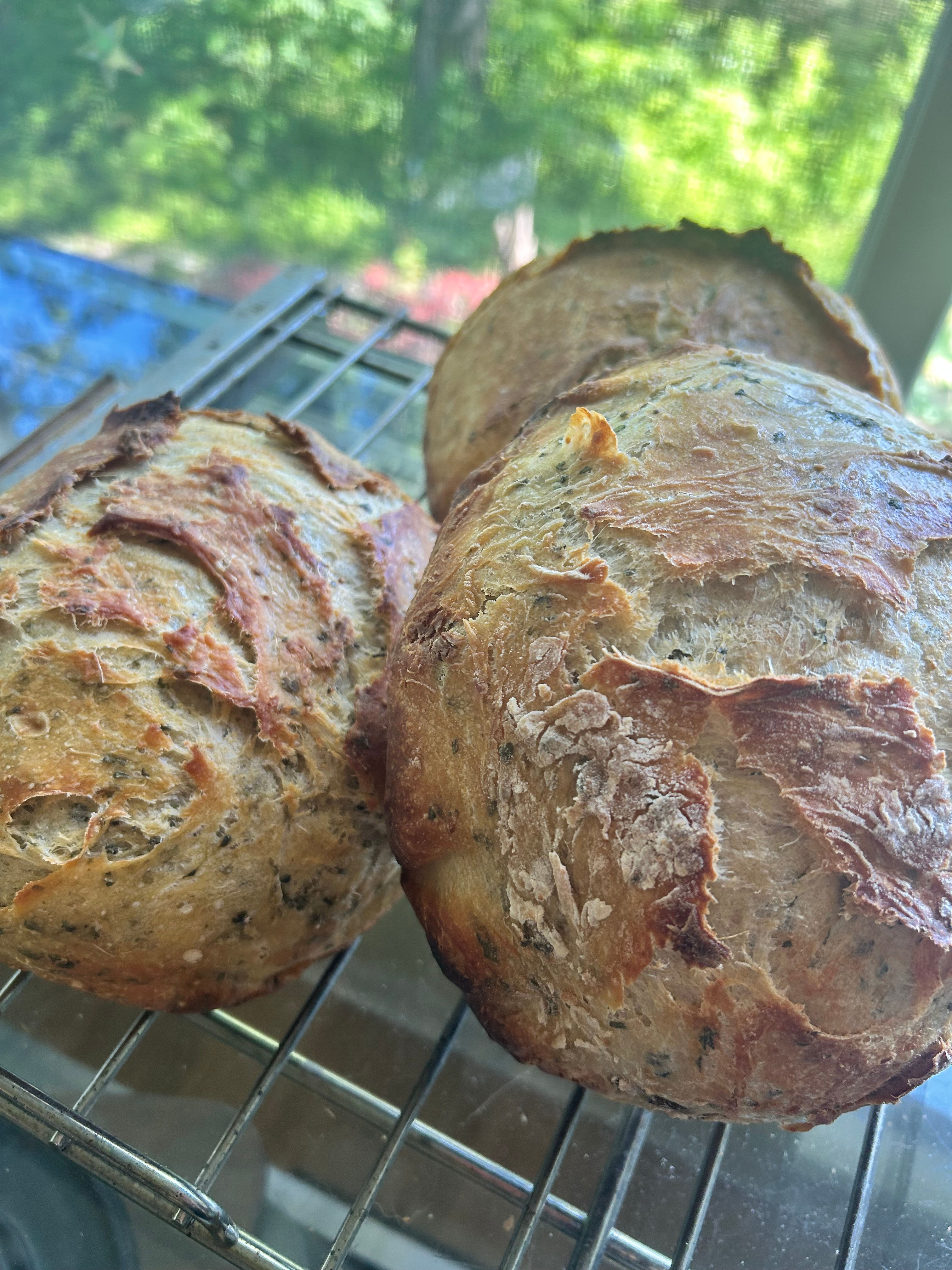Wasabi Microgreens and Goat Cheese Artesian Bread