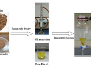 Optimization of oil extraction from waste “Date pits” for biodiesel production
