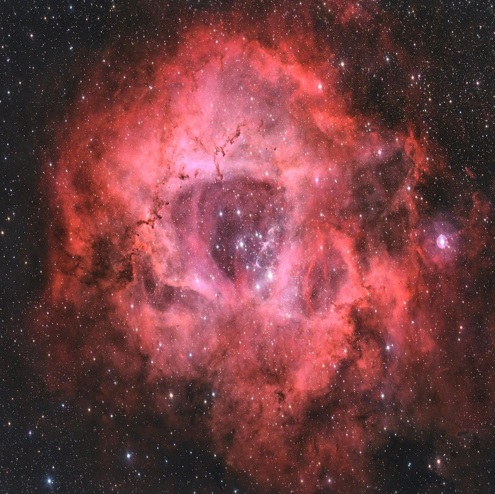 To NGC 2244: A Love Letter from My Objective Lens