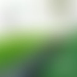 A green tractor on a vibrant crop field appears to emerge from a smartphone screen against a blue sky, blending technology and agriculture.