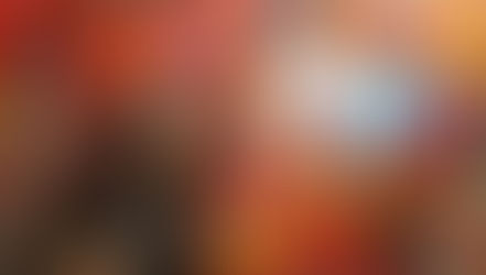 Chinese New Year Shopping Festival 2025 banner with festive decorations and product displays