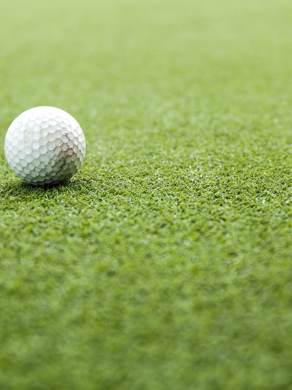 2017 Kalispell Lakers Golf Tournament