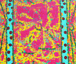Milton Kalbermatter, #4, Histologia gráfica, acrílico sobre tela, 150 x 180 cm (1)