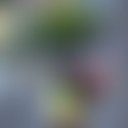 SCHULANFANGSAKTION “AKTION SCHULWEG”