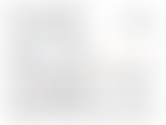 Risk Management in Banking after the 2008 Financial Crisis: what we can learn from the United States