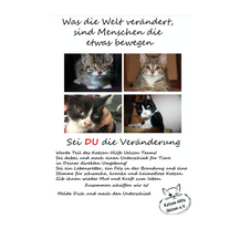 Katzen-Hilfe Uelzen e.V.