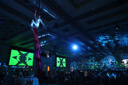 handskiosk - RX big party aerial silk dance 01.jpg
