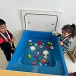 image00162.jpeg