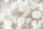 Botox Hermanus, Filler Hermanus, Aesthetic Doctor, Dr Diana Haage, Laser Hair Removal, Pro