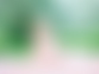 Фотопроект "Весна в цвету". Вишни, яблони, сирень, люпины...