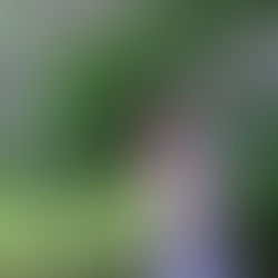 Фотосессия в сиреневом саду