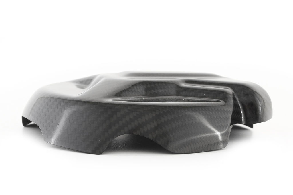 Fullsix Carbon BMW S1000RR Alternator Cover Protection Guard