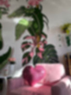 IMG_1976.jpeg