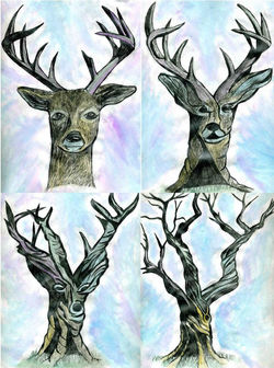 Transformation
