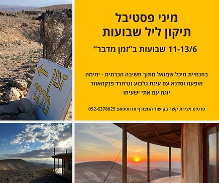 ניוז לטר (9).jpg
