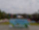 LINE_ALBUM_202554こどもの国_250515_1.jpg