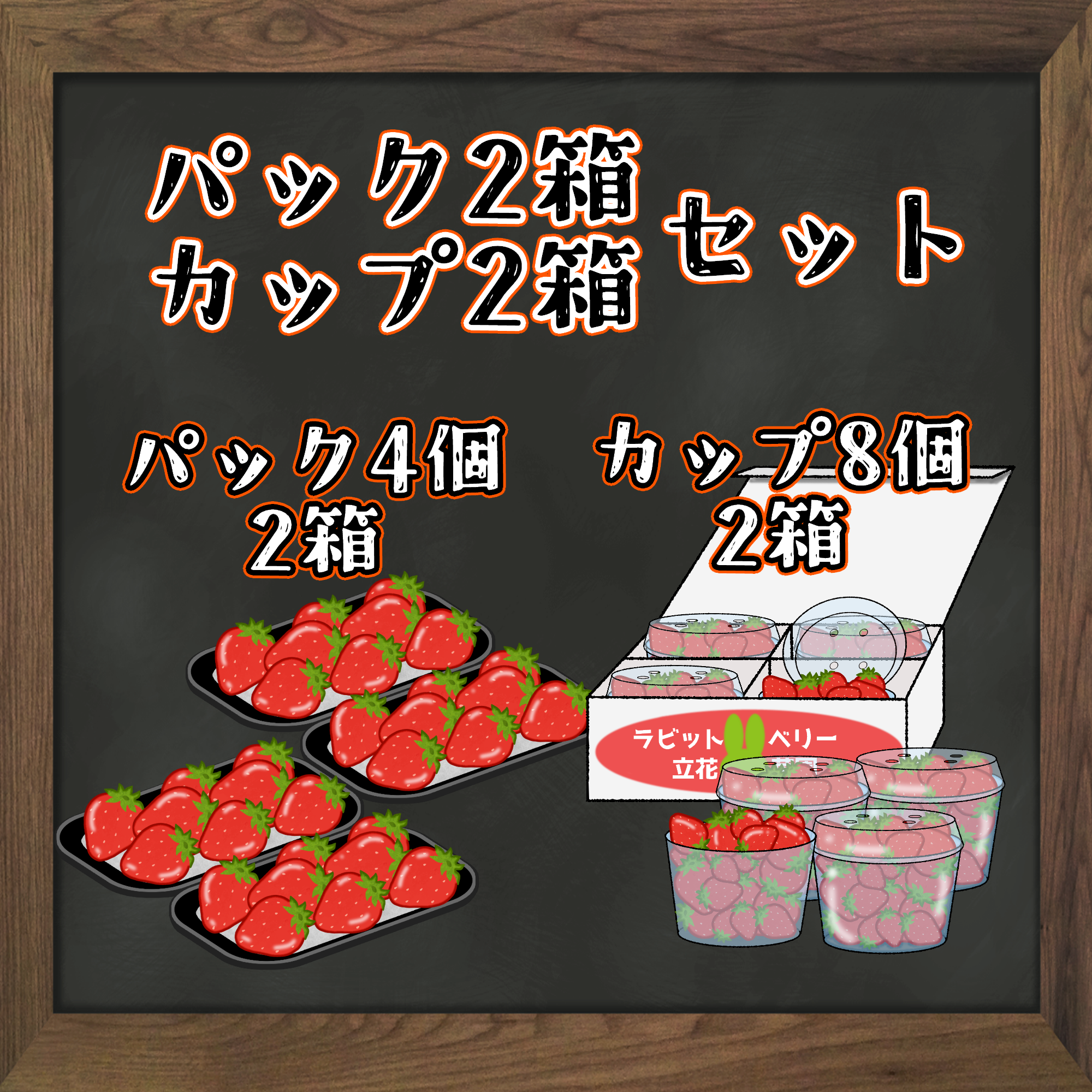 パック2箱＋カップ2箱